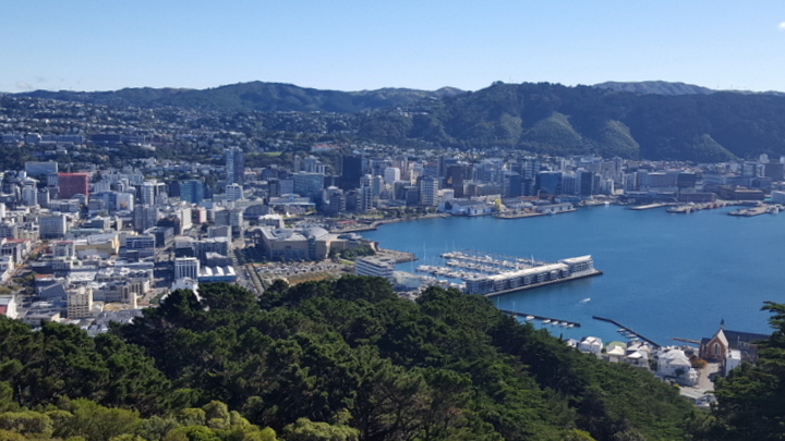 Wellington from Mt Victoria